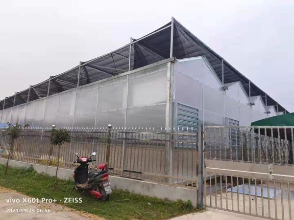 PC陽光板溫室