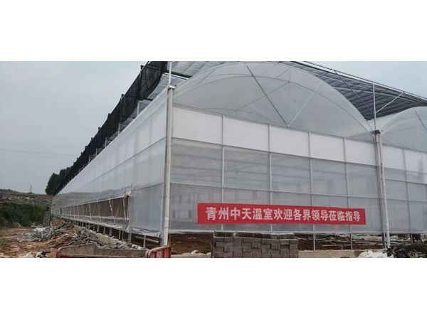 薄膜溫室